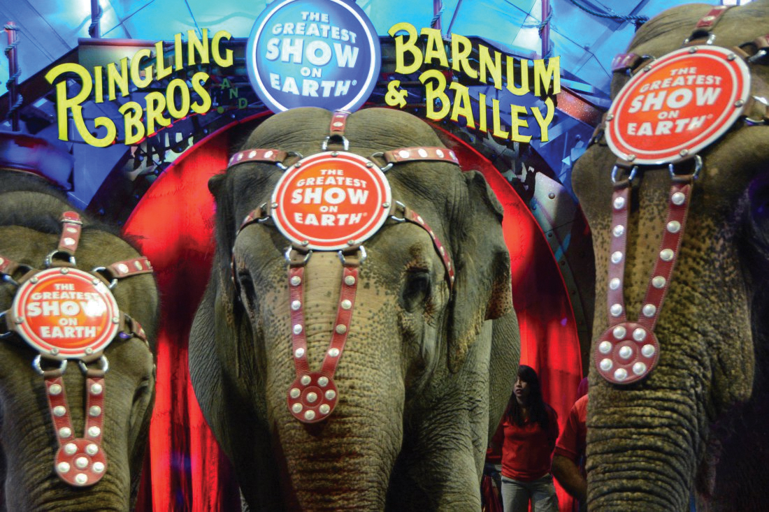 Great show перевод. Ringling Bros вся правда. Bradley's Circus. Sounds of the Girgus Music from the big Top Elephant.