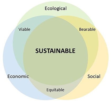 Sustainability Center supports student values | The Pacer